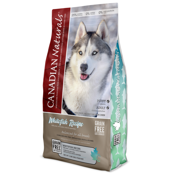 Grain Free Whitefish Recipe for Dogs